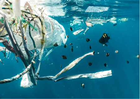 Les particules de plastique dans l'eau en bouteille